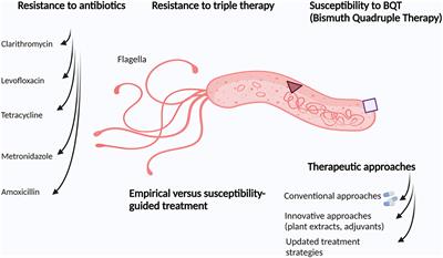 Editorial: Helicobacter pylori infection: pathogenesis, antibiotic resistance, advances and therapy, new treatment strategies